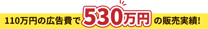 110万円の広告費で530万円の販売実績！