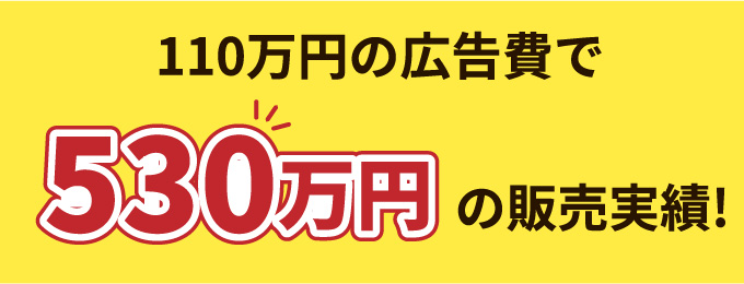 110万円の広告費で530万円の販売実績！